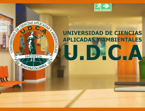 UDCA – 3D Environment Artist